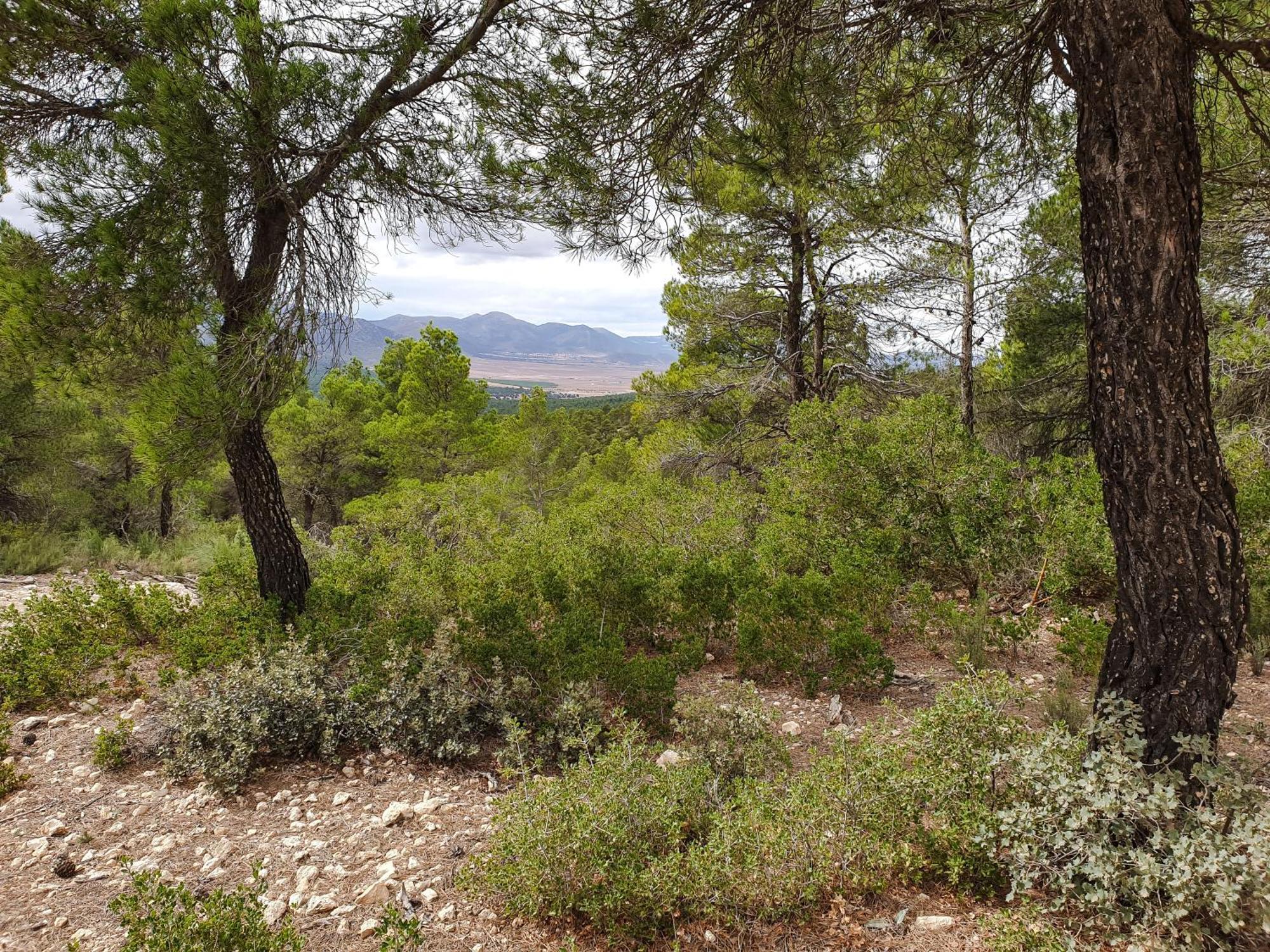 Casa La Sorpresa Villa La Ermita Luaran gambar